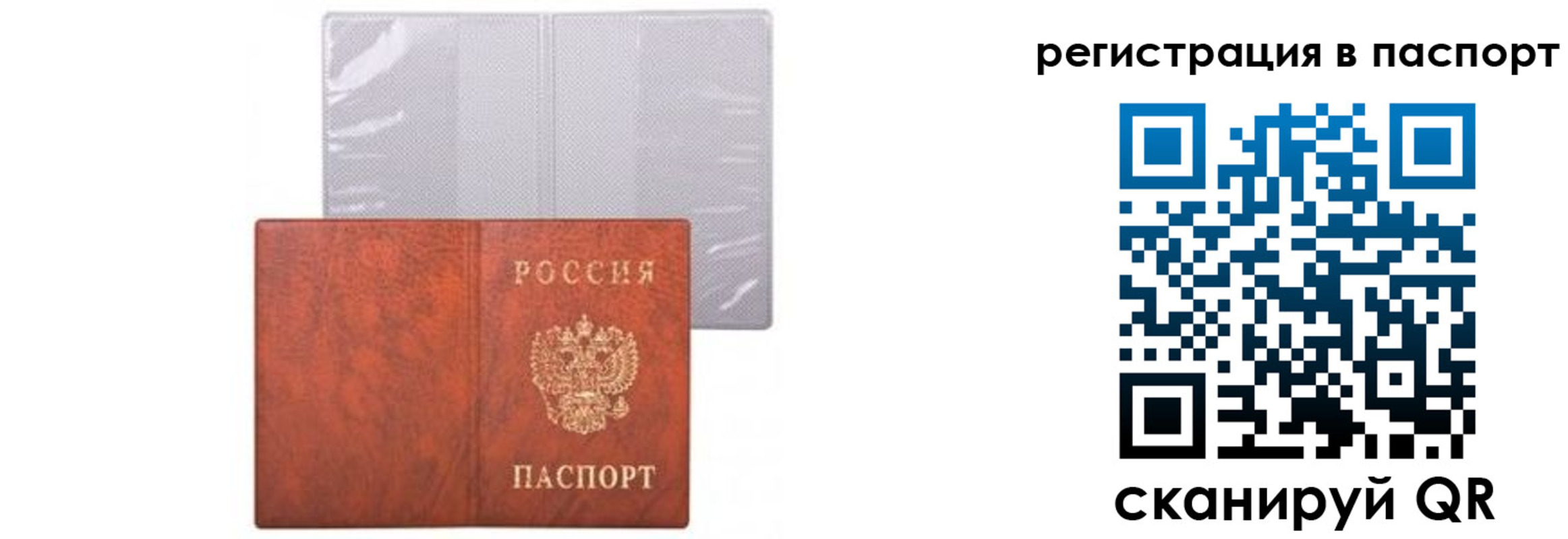 прописка ребенка в Рославле